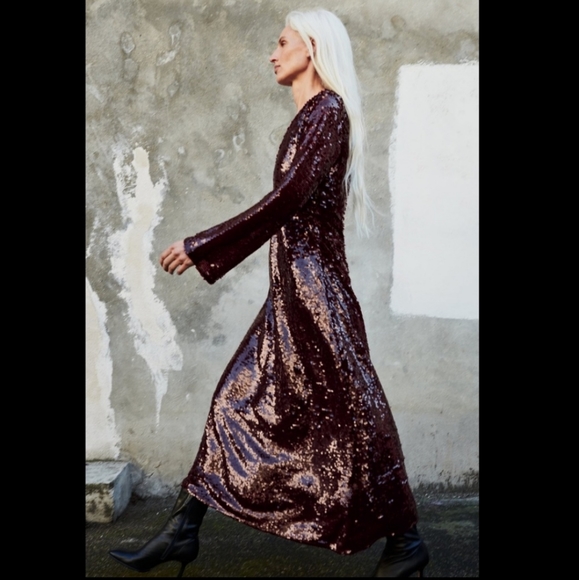 Zara Sequinned Limited Edition Dress - Picture 5 of 16